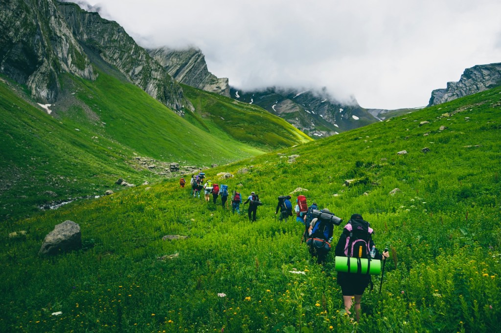 Hikers on a trail through green mountain meadows